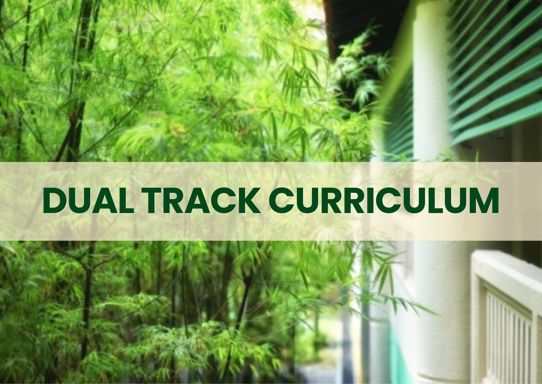 Dual Track Curriculum